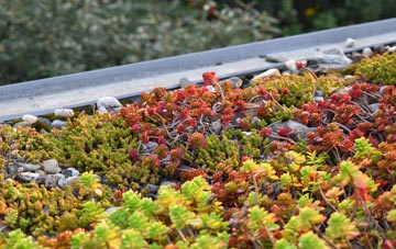 the cost of Cwmrhos green roof installation