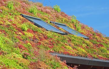 Cwmrhos living roof systems